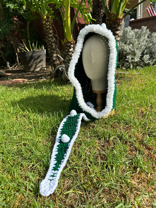 Dino Hood🦖